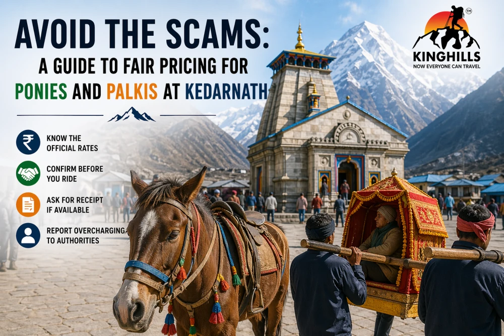 Avoid the Scams: A Guide to Fair Pricing for Ponies and Palkis at Kedarnath