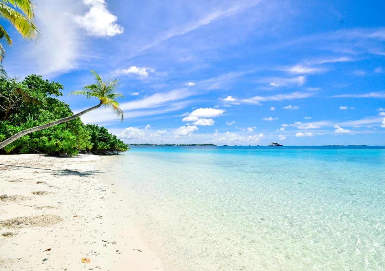 Goa