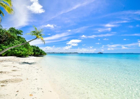 Goa