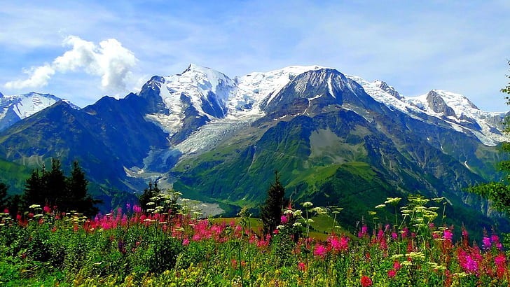 Sikkim Special 8 Days