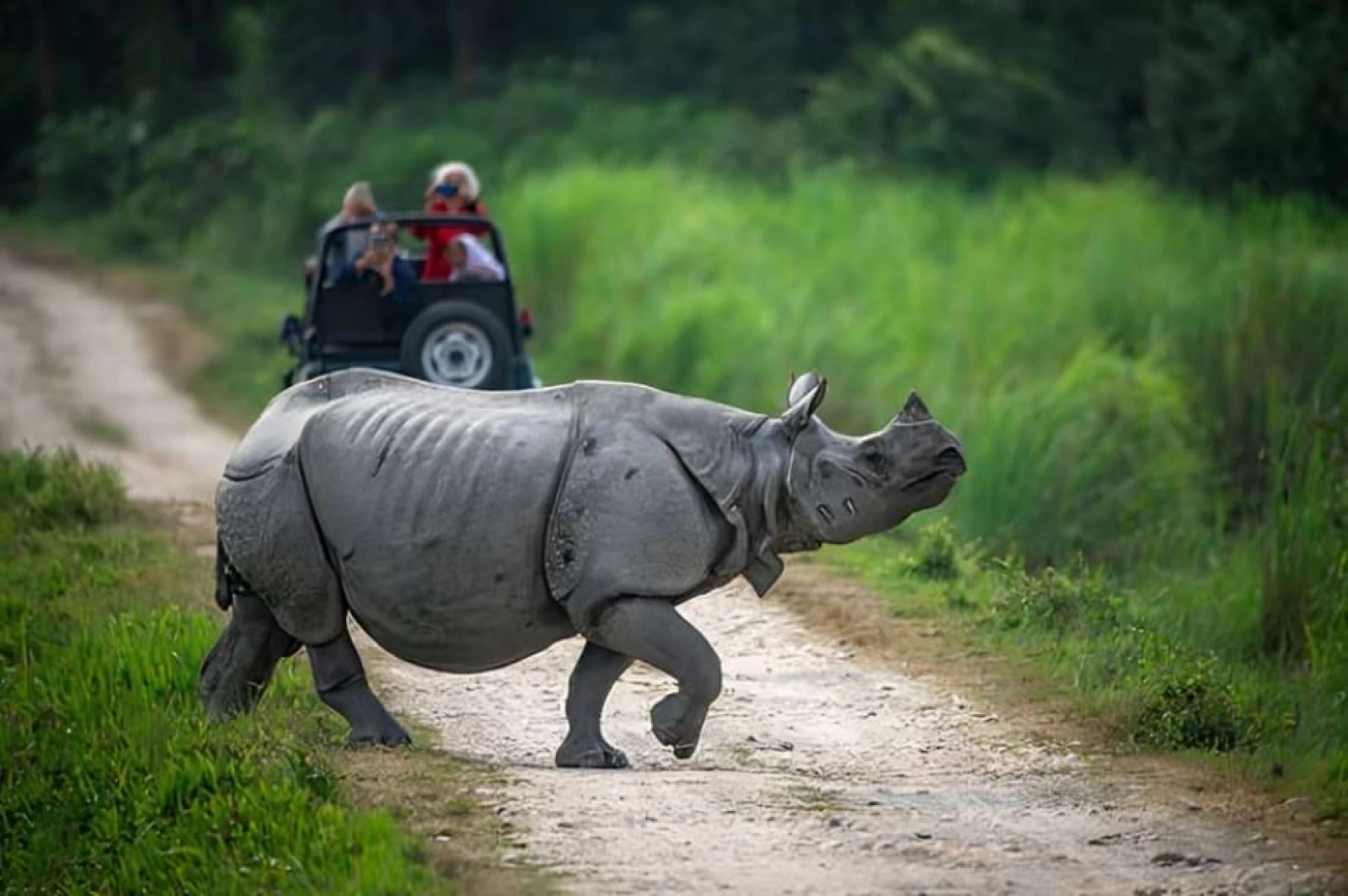 Magical North East India