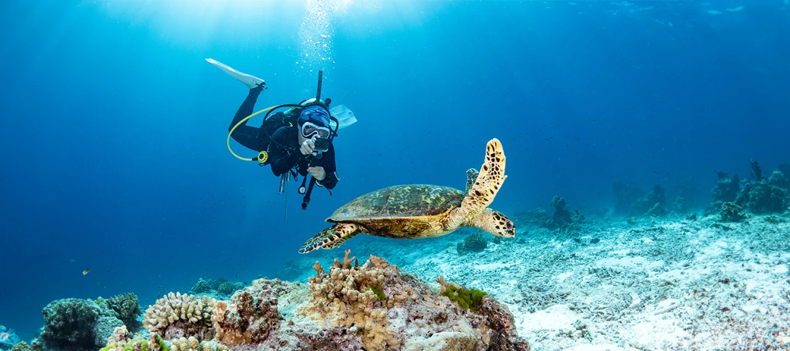 Andaman 6 Days