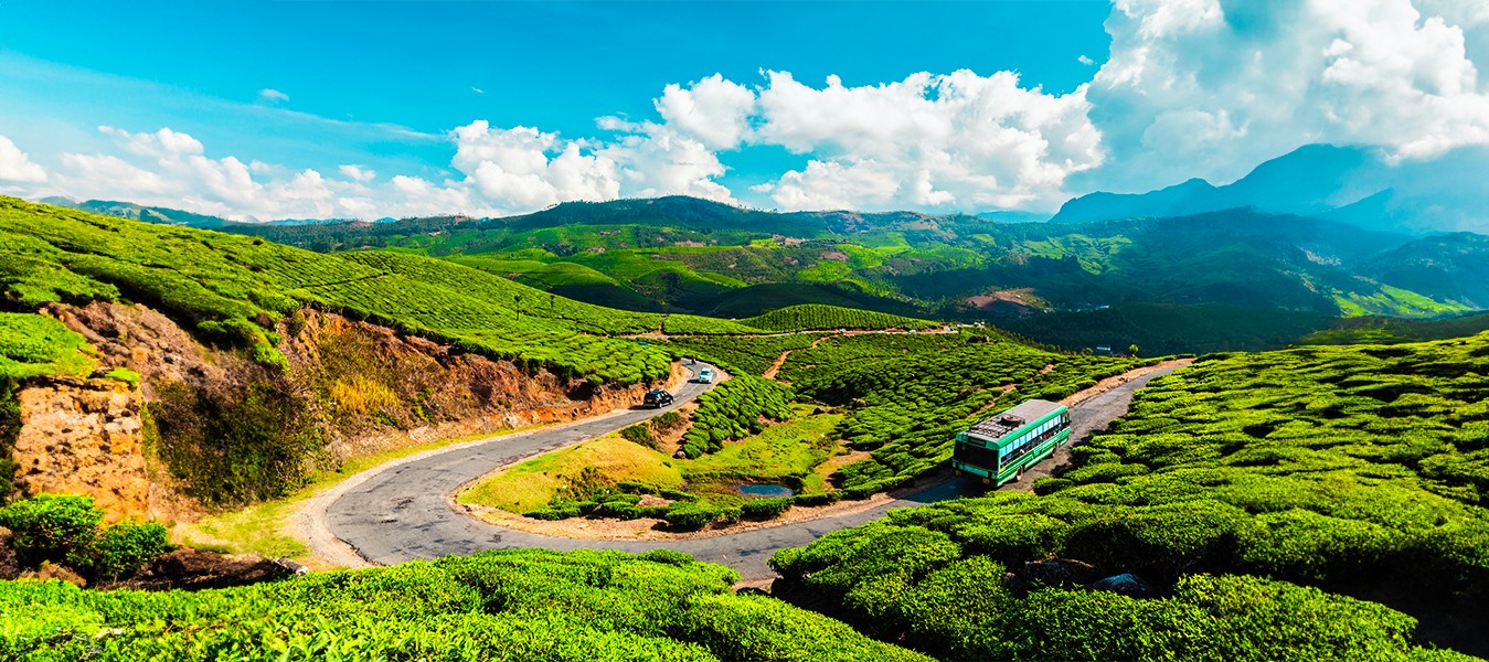 Magical Kerala From  Cochin