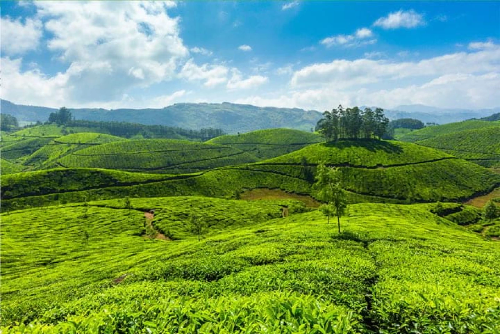 Pocket Kerala