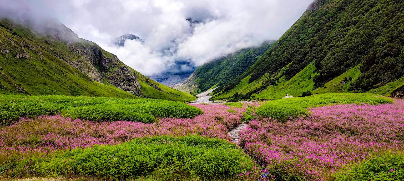 Valley of Flowers From Raipur