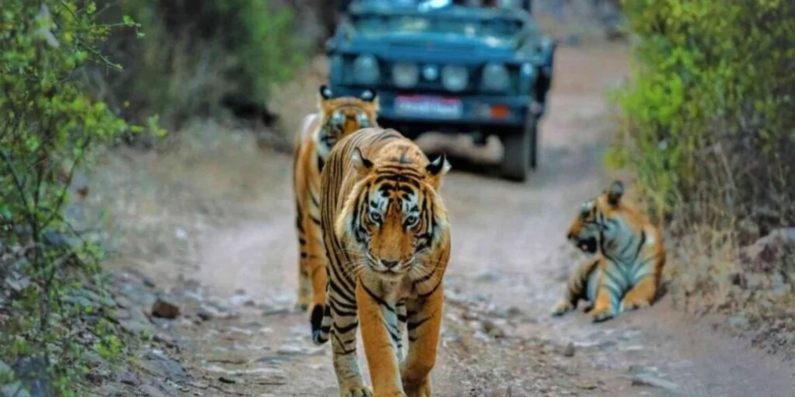 Uttarakhand