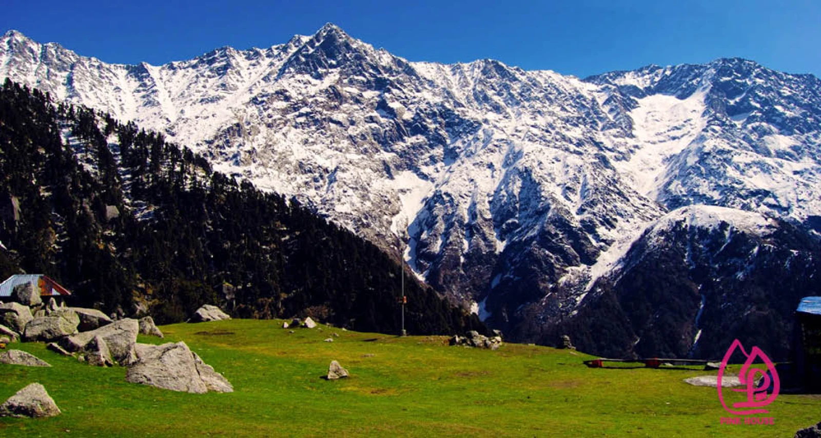 Mcleodganj-Triund Trek