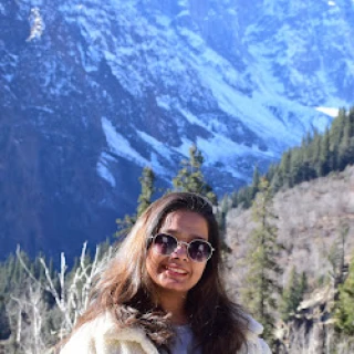 Traveller photo