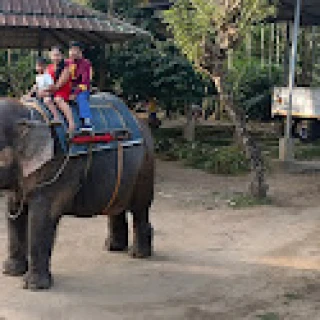 Traveller photo