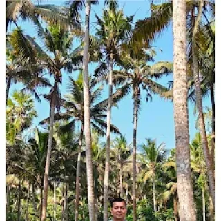 Traveller photo