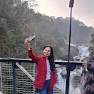 Traveller photo