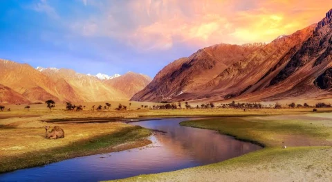 Nubra Valley