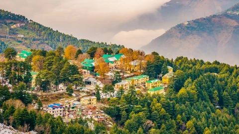 Dalhousie