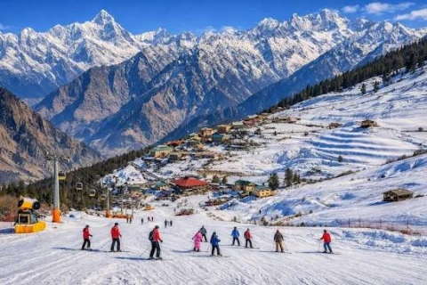 Auli