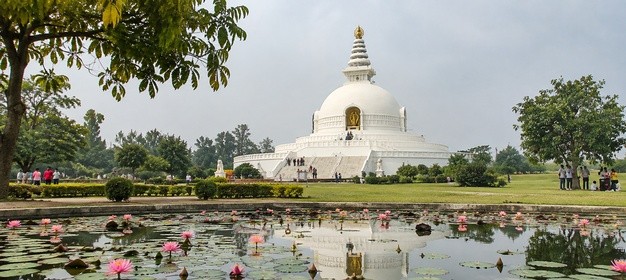 Pocket Pro Nepal photo 2