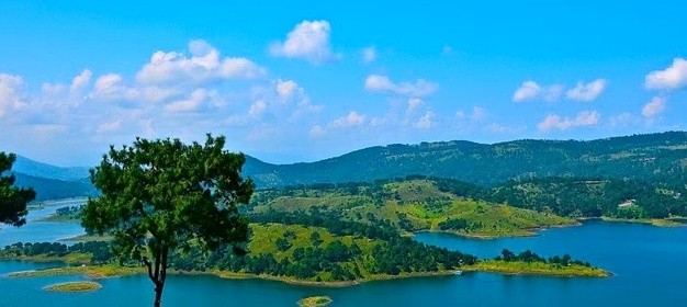 Pocket Pro North East India