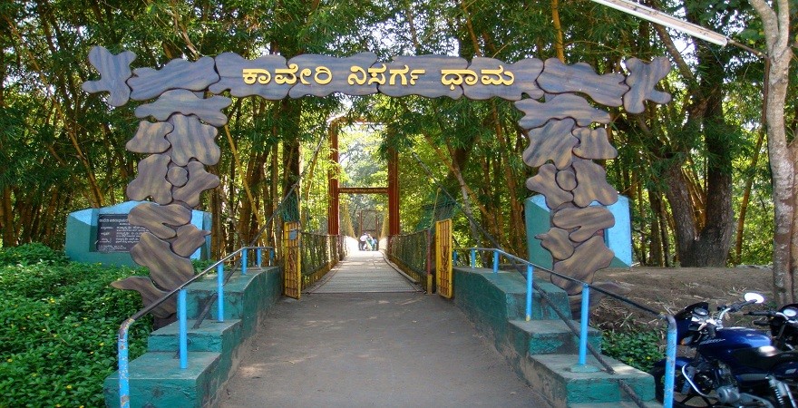 Magical Western Ghats photo 6