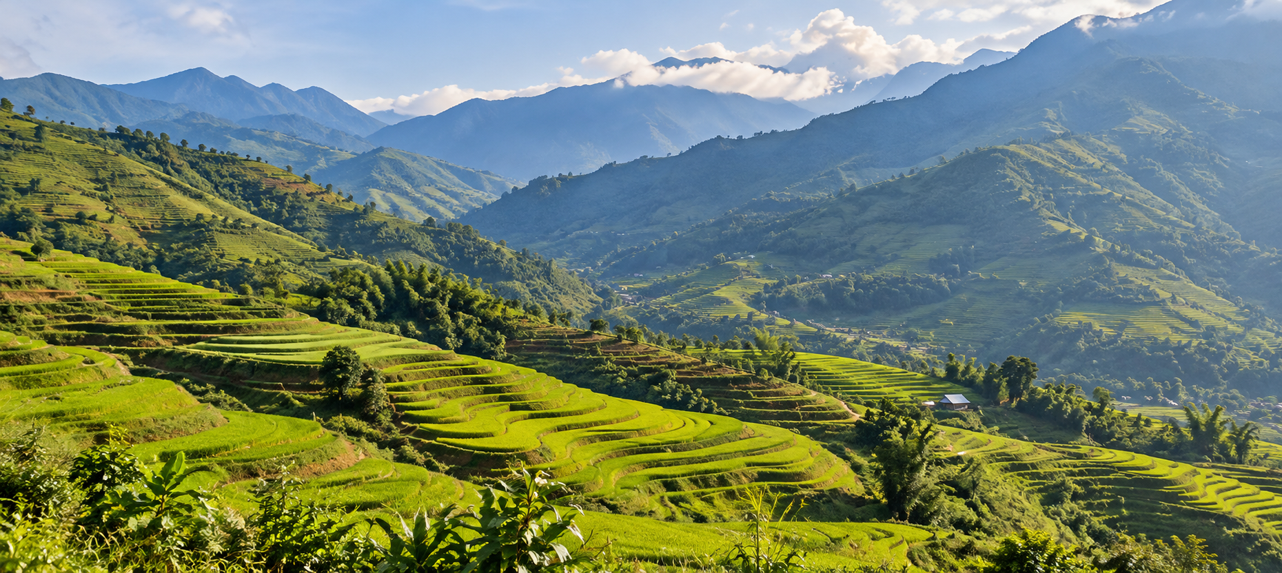 Magical Vietnam