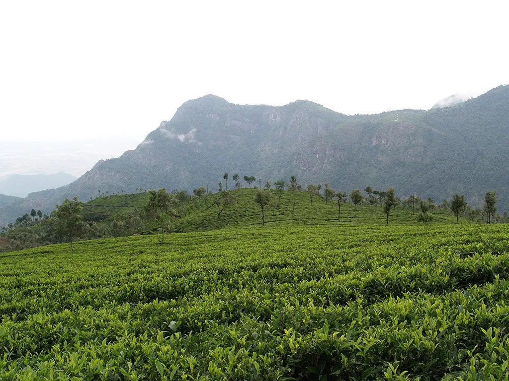 Pocket Pro Kerala Kanniyakumari Tour Package from Delhi