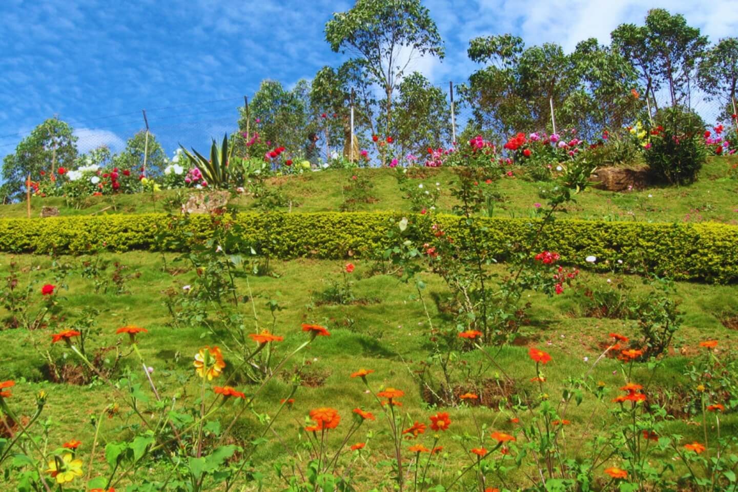 Pocket Pro Kerala with Tamil Nadu photo 12