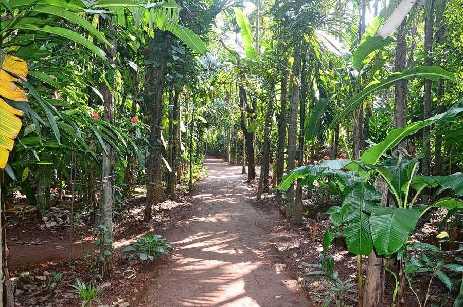 Pocket Pro Kerala with Tamil Nadu photo 14
