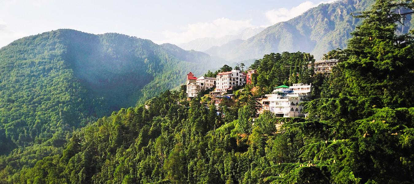 Himachal Pocket Dharamshala From Delhi