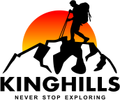 Best Tours and Travel Agency in India | Kinghillstravels