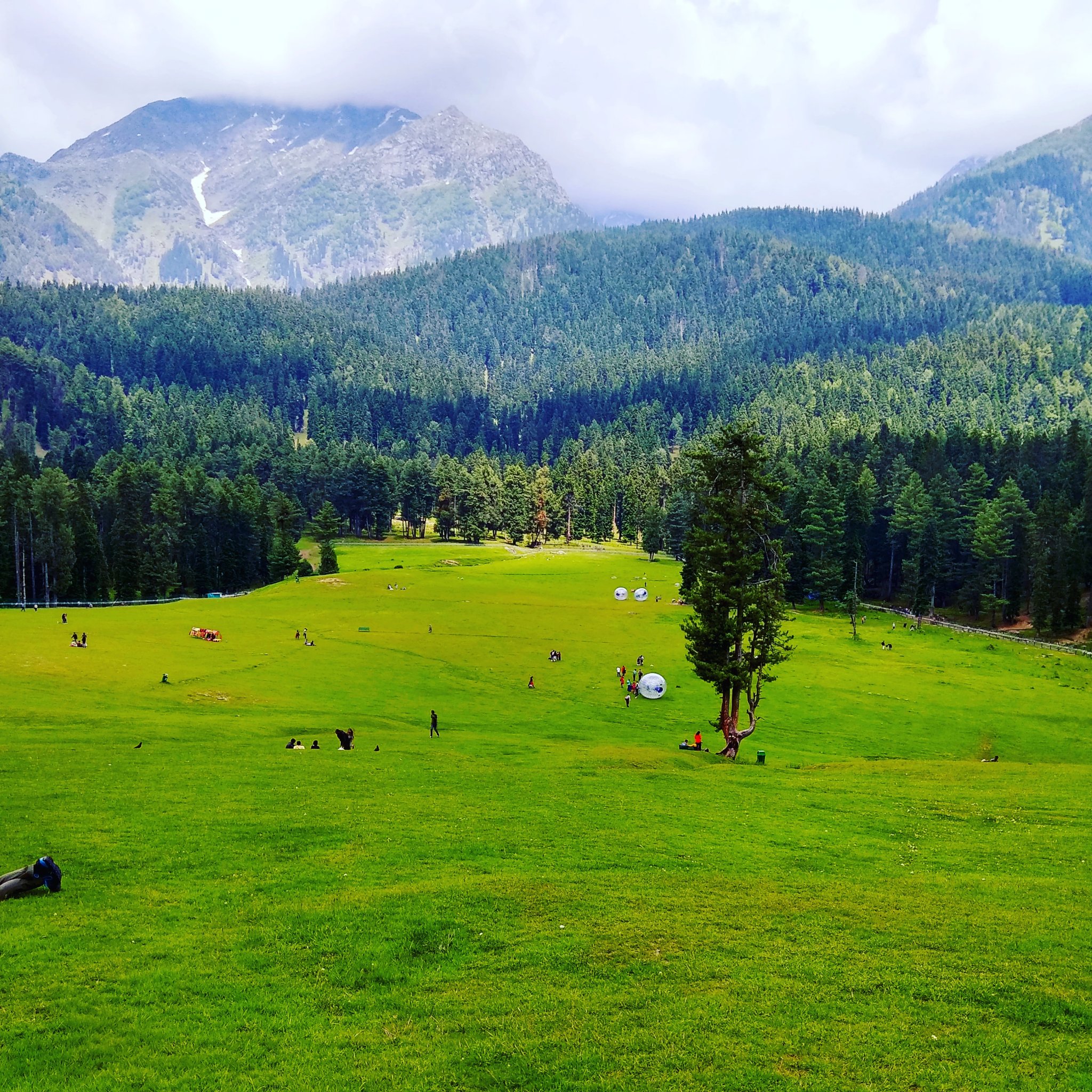 manali tour & travel packages